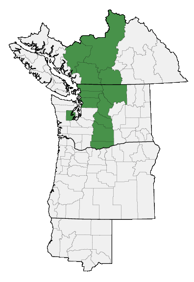 Map of where plant is found