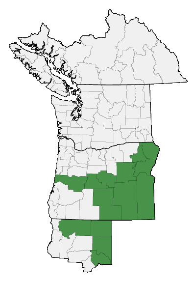 Map of where plant is found