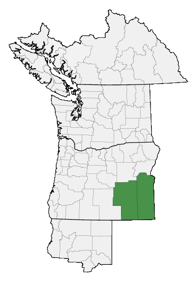 Map of where plant is found