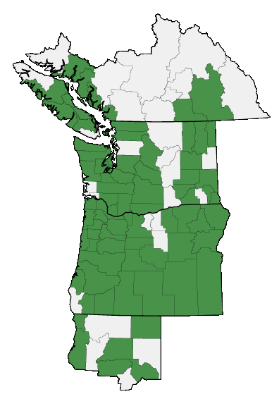 Map of where plant is found