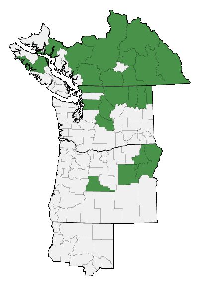 Map of where plant is found