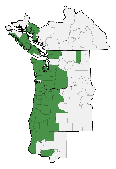 Map of where plant is found