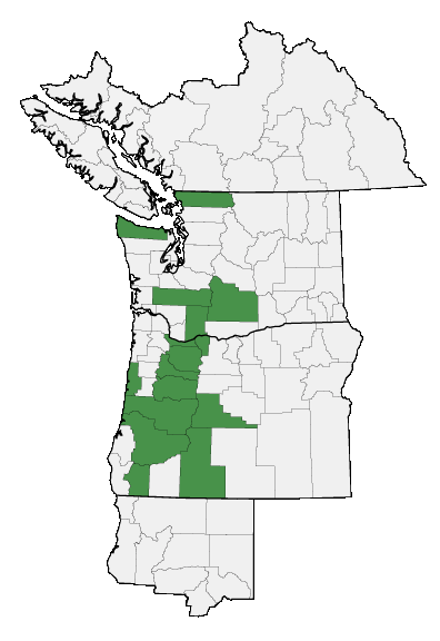 Map of where plant is found