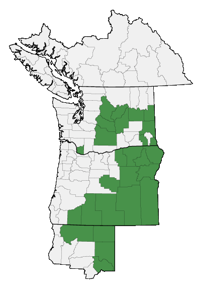 Map of where plant is found