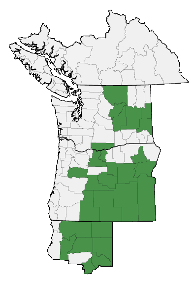 Map of where plant is found