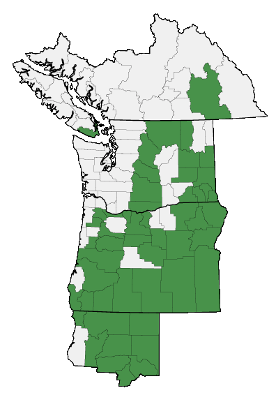 Map of where plant is found