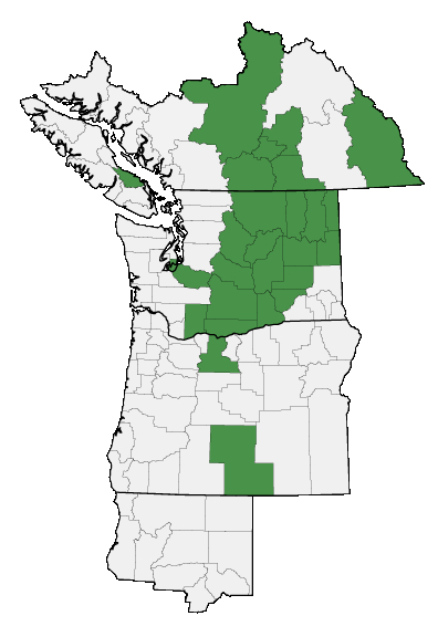 Map of where plant is found