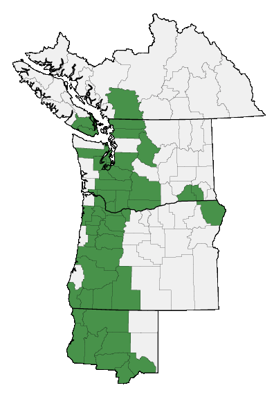 Map of where plant is found