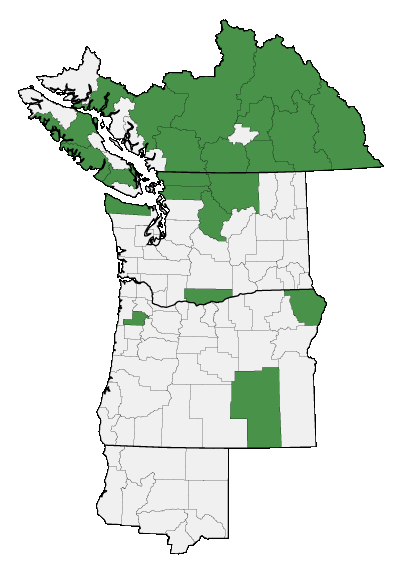 Map of where plant is found