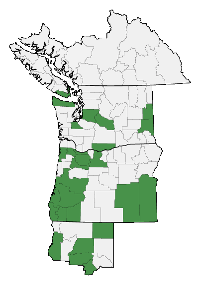 Map of where plant is found