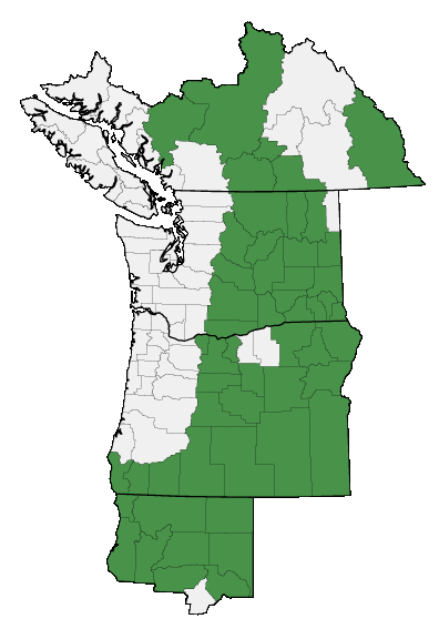 Map of where plant is found