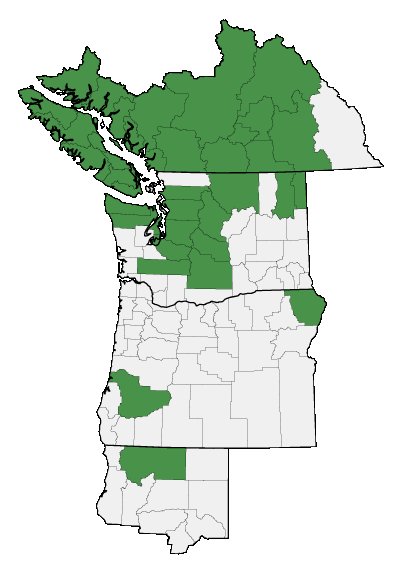 Map of where plant is found