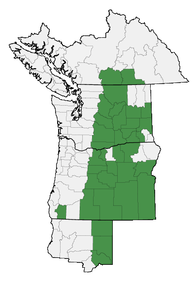 Map of where plant is found