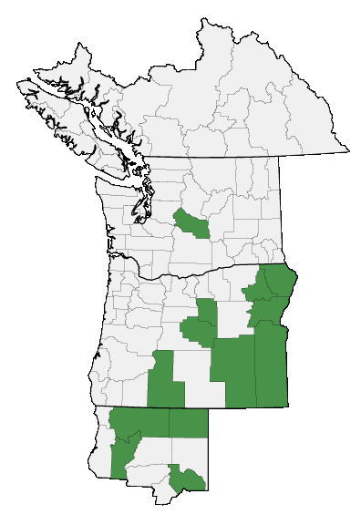 Map of where plant is found