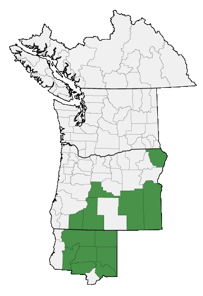 Map of where plant is found