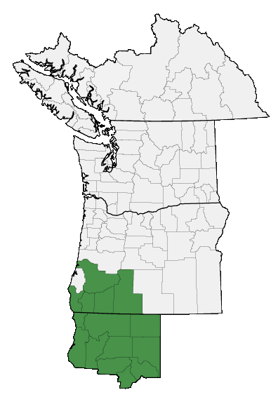 Map of where plant is found