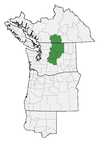 Map of where plant is found