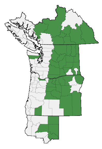 Map of where plant is found