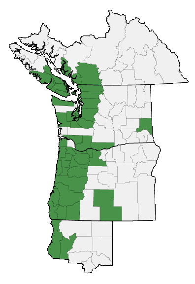 Map of where plant is found