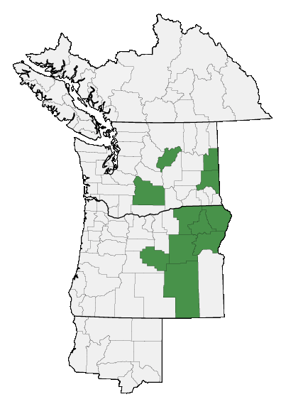 Map of where plant is found