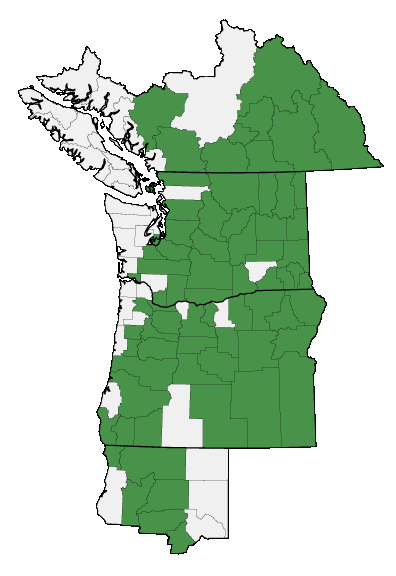 Map of where plant is found