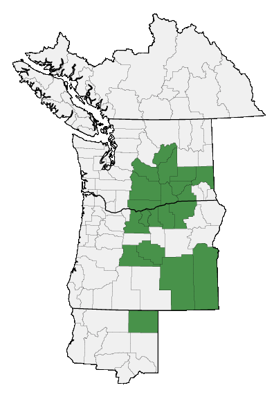 Map of where plant is found