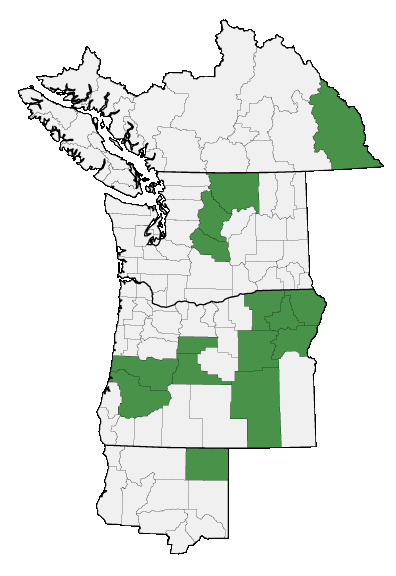 Map of where plant is found