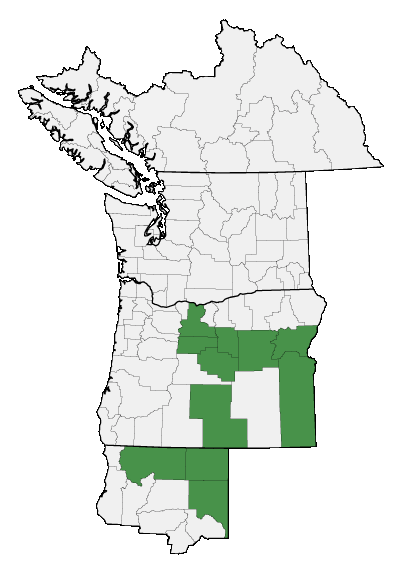 Map of where plant is found