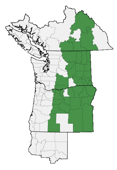 Map of where plant is found