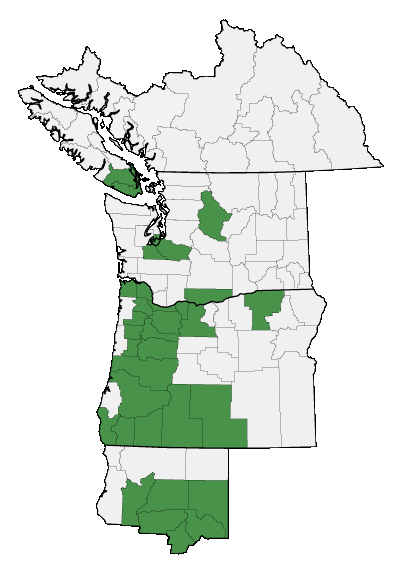 Map of where plant is found