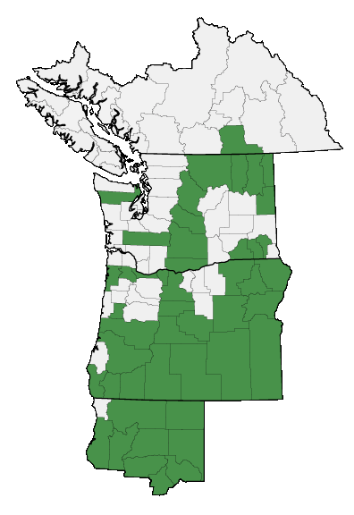 Map of where plant is found