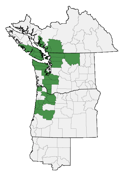 Map of where plant is found