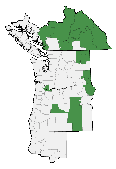 Map of where plant is found