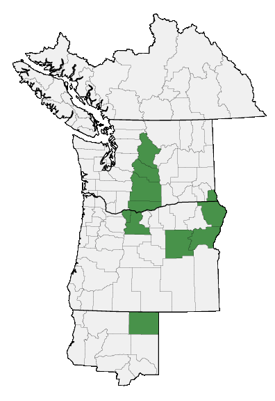 Map of where plant is found