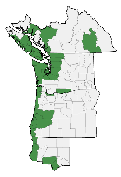 Map of where plant is found