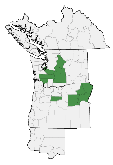 Map of where plant is found