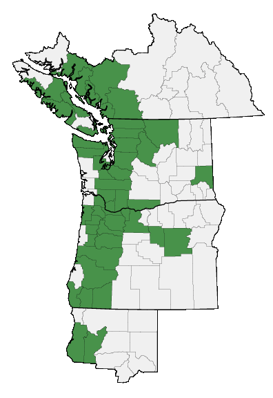 Map of where plant is found