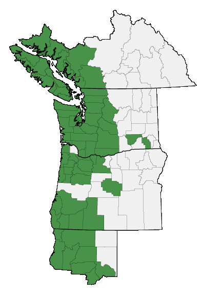 Map of where plant is found