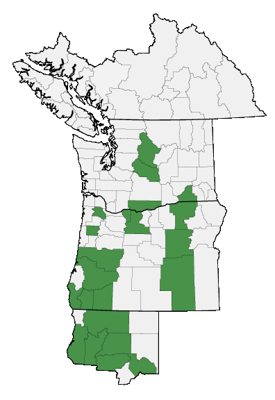 Map of where plant is found