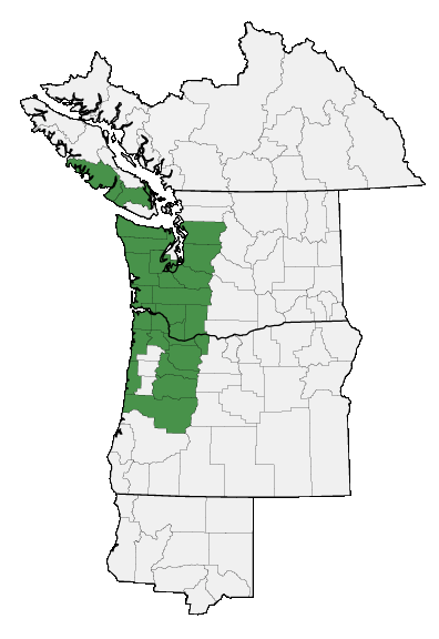 Map of where plant is found