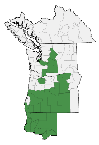 Map of where plant is found