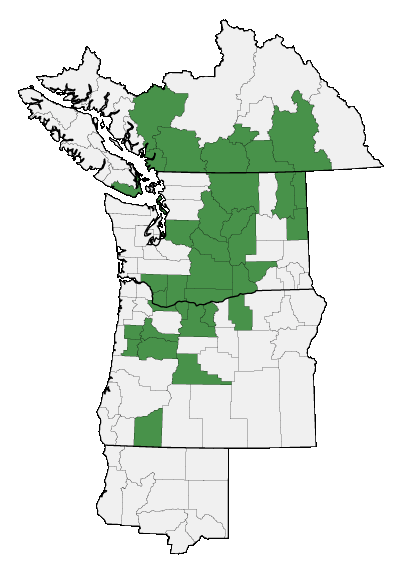 Map of where plant is found