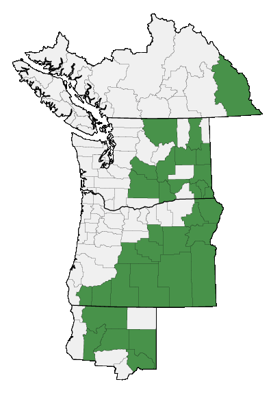 Map of where plant is found