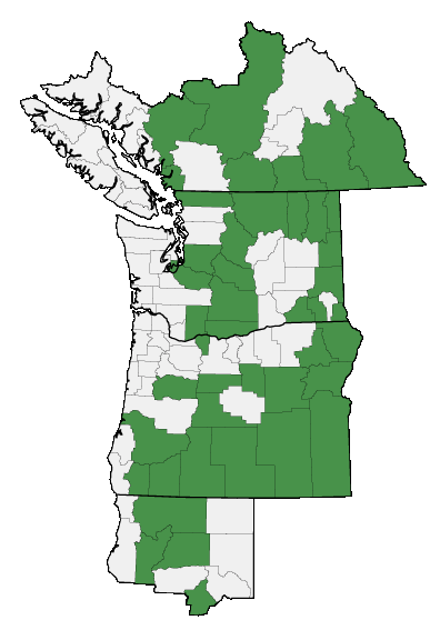 Map of where plant is found