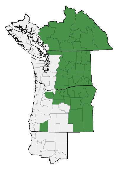 Map of where plant is found