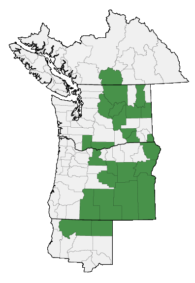 Map of where plant is found