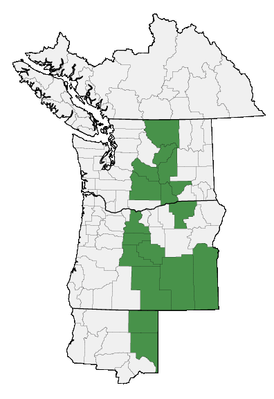 Map of where plant is found