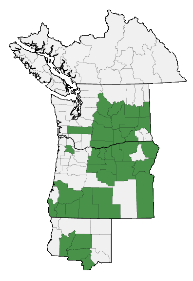 Map of where plant is found
