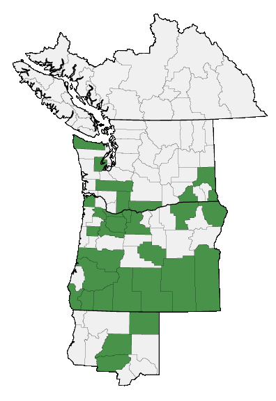 Map of where plant is found