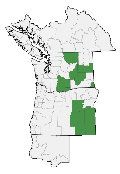 Map of where plant is found